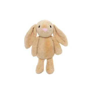 Cute Bunny
