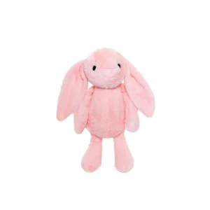 Cute Bunny