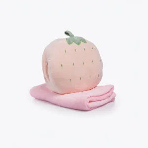 Strawberry Cushion With Blanket